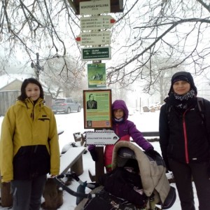 Liška II - průběžný stav